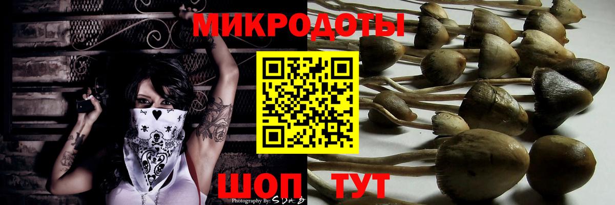 Галлюциногенные грибы Magic Shrooms Туапсе